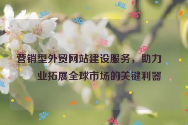 營銷型外貿(mào)網(wǎng)站建設(shè)服務(wù)，助力企業(yè)拓展全球市場的關(guān)鍵利器