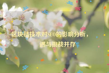 區(qū)塊鏈技術(shù)對(duì)SEO的影響分析，機(jī)遇與挑戰(zhàn)并存