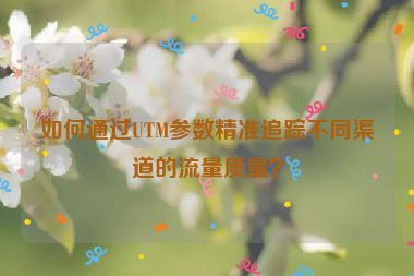 如何通過UTM參數(shù)精準(zhǔn)追蹤不同渠道的流量質(zhì)量？