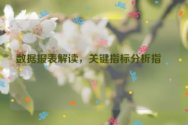 數(shù)據(jù)報(bào)表解讀，關(guān)鍵指標(biāo)分析指南