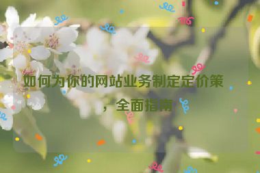 如何為你的網(wǎng)站業(yè)務(wù)制定定價(jià)策略，全面指南