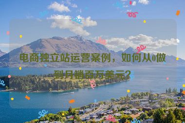 電商獨立站運營案例，如何從0做到月銷百萬美元？