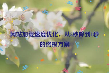 網(wǎng)站加載速度優(yōu)化，從5秒降到1秒的終極方案