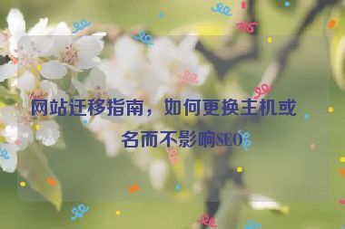 網(wǎng)站遷移指南，如何更換主機或域名而不影響SEO
