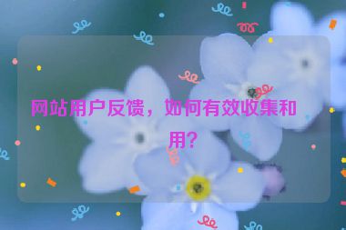 網(wǎng)站用戶反饋，如何有效收集和利用？