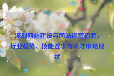 深圳網(wǎng)站建設(shè)與網(wǎng)站運營招聘，行業(yè)趨勢、技能要求與人才市場現(xiàn)狀