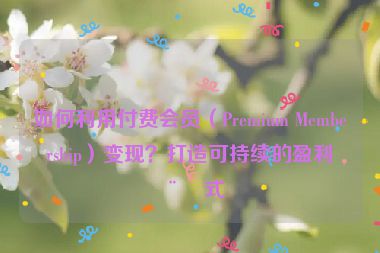 如何利用付費(fèi)會(huì)員（Premium Membership）變現(xiàn)？打造可持續(xù)的盈利模式