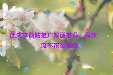 低成本網(wǎng)站推廣渠道推薦，高效引流不花冤枉錢(qián)