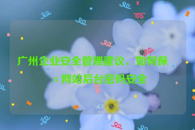 廣州企業(yè)安全管理建議，如何保護網(wǎng)站后臺密碼安全