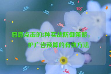 惡意點擊的5種實戰(zhàn)防御策略，保護廣告預(yù)算的有效方法