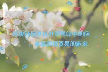 區(qū)塊鏈技術(shù)在外貿(mào)網(wǎng)站中的應(yīng)用，革新跨境貿(mào)易的未來
