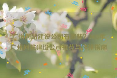 廣州網(wǎng)站建設公司有哪些？2023年廣州網(wǎng)站建設公司推薦與選擇指南