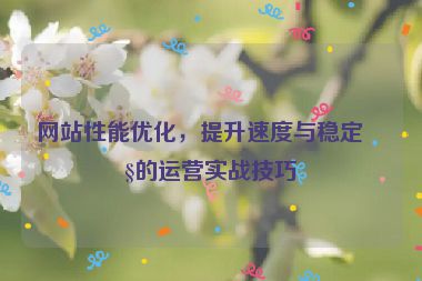 網(wǎng)站性能優(yōu)化，提升速度與穩(wěn)定性的運(yùn)營(yíng)實(shí)戰(zhàn)技巧