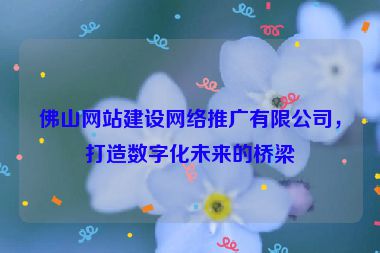 佛山網(wǎng)站建設(shè)網(wǎng)絡(luò)推廣有限公司，打造數(shù)字化未來的橋梁