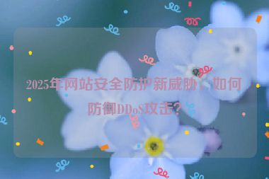 2025年網(wǎng)站安全防護(hù)新威脅，如何防御DDoS攻擊？