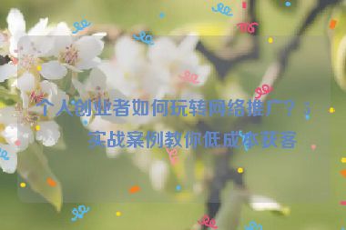 個人創(chuàng)業(yè)者如何玩轉(zhuǎn)網(wǎng)絡(luò)推廣？5個實戰(zhàn)案例教你低成本獲客