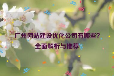 廣州網(wǎng)站建設優(yōu)化公司有哪些？全面解析與推薦