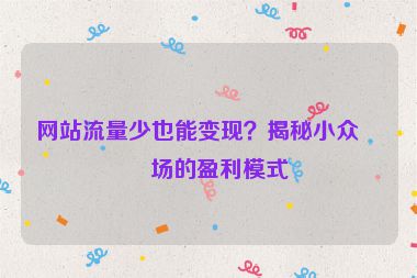 網(wǎng)站流量少也能變現(xiàn)？揭秘小眾市場(chǎng)的盈利模式