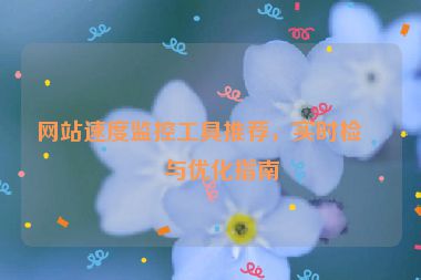 網(wǎng)站速度監(jiān)控工具推薦，實時檢測與優(yōu)化指南
