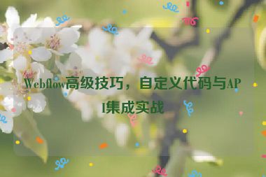 Webflow高級(jí)技巧，自定義代碼與API集成實(shí)戰(zhàn)
