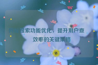 網(wǎng)站搜索功能優(yōu)化，提升用戶(hù)查找效率的關(guān)鍵策略
