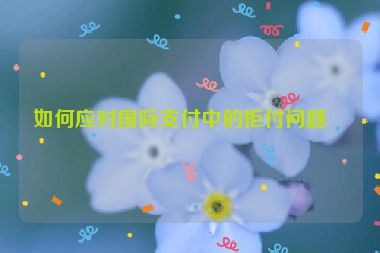如何應(yīng)對國際支付中的拒付問題？