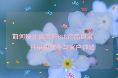 如何設(shè)計高效的B2B產(chǎn)品目錄，提升采購效率與客戶體驗