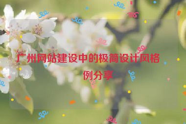 廣州網(wǎng)站建設(shè)中的極簡(jiǎn)設(shè)計(jì)風(fēng)格案例分享