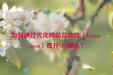 如何通過優(yōu)化網(wǎng)站互動(dòng)性（Engagement）提升SEO排名？