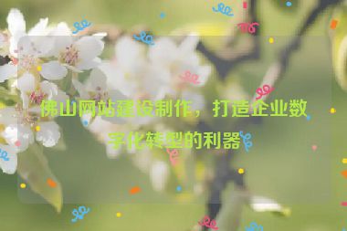 佛山網(wǎng)站建設(shè)制作，打造企業(yè)數(shù)字化轉(zhuǎn)型的利器