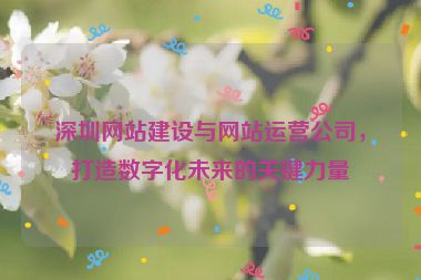深圳網(wǎng)站建設(shè)與網(wǎng)站運(yùn)營公司，打造數(shù)字化未來的關(guān)鍵力量