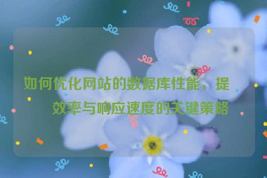 如何優(yōu)化網(wǎng)站的數(shù)據(jù)庫性能，提升效率與響應速度的關鍵策略