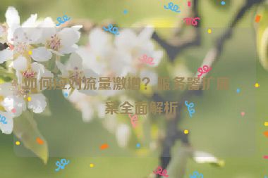 如何應(yīng)對流量激增？服務(wù)器擴展方案全面解析