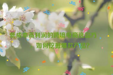 低成本高利潤的跨境電商選品方法，如何挖掘爆款產(chǎn)品？