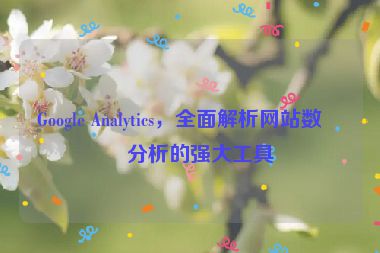 Google Analytics，全面解析網(wǎng)站數(shù)據(jù)分析的強大工具