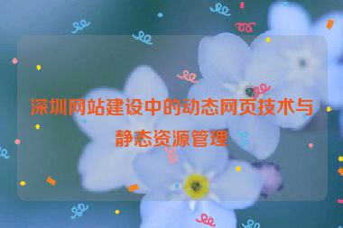 深圳網(wǎng)站建設(shè)中的動(dòng)態(tài)網(wǎng)頁(yè)技術(shù)與靜態(tài)資源管理
