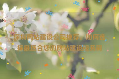 深圳網(wǎng)站建設(shè)公司推薦，如何選擇最適合您的網(wǎng)站建設(shè)服務(wù)商