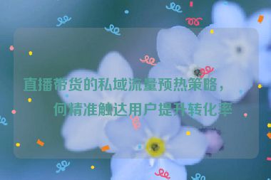 直播帶貨的私域流量預(yù)熱策略，如何精準(zhǔn)觸達(dá)用戶提升轉(zhuǎn)化率