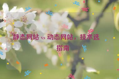 靜態(tài)網(wǎng)站 vs 動(dòng)態(tài)網(wǎng)站，技術(shù)選型指南