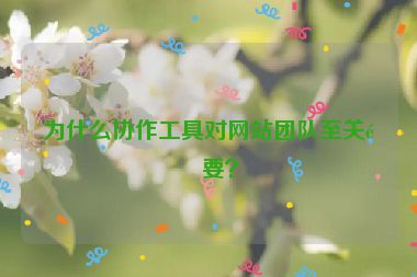 為什么協(xié)作工具對(duì)網(wǎng)站團(tuán)隊(duì)至關(guān)重要？