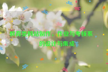 教育類網(wǎng)站制作，作業(yè)與考核系統(tǒng)的設(shè)計(jì)與集成