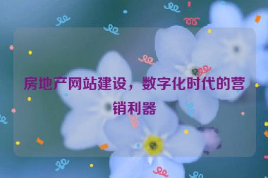 房地產(chǎn)網(wǎng)站建設(shè)，數(shù)字化時代的營銷利器