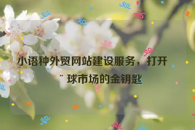 小語種外貿(mào)網(wǎng)站建設(shè)服務(wù)，打開全球市場的金鑰匙