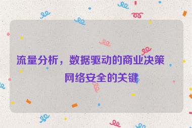 流量分析，數(shù)據(jù)驅(qū)動的商業(yè)決策與網(wǎng)絡(luò)安全的關(guān)鍵