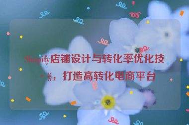 Shopify店鋪設計與轉化率優(yōu)化技巧，打造高轉化電商平臺