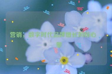 營銷，數(shù)字時代品牌增長的核心引擎