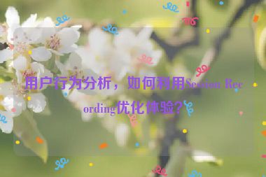 用戶行為分析，如何利用Session Recording優(yōu)化體驗？