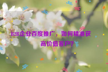 B2B企業(yè)百度推廣，如何精準(zhǔn)獲取高價(jià)值客戶？