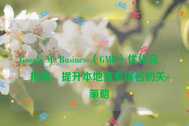 Google My Business（GMB）優(yōu)化完整指南，提升本地搜索排名的關(guān)鍵策略