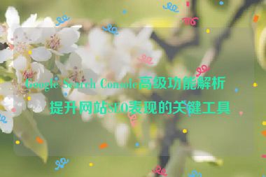 Google Search Console高級(jí)功能解析，提升網(wǎng)站SEO表現(xiàn)的關(guān)鍵工具